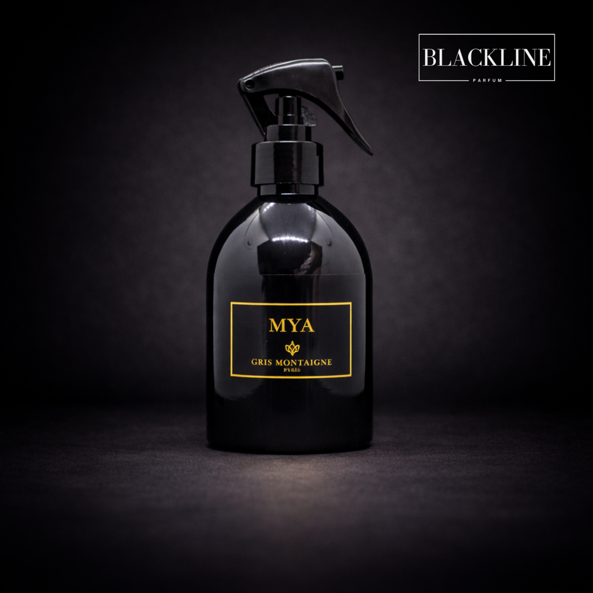 Spray Mya GRIS MONTAIGNE 250ML
