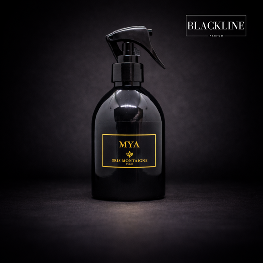 Spray Mya GRIS MONTAIGNE 250ML